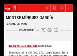 Enlace a Niña prodigio