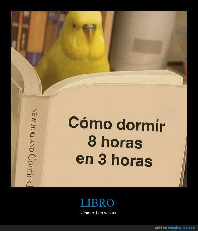 libro,dormir