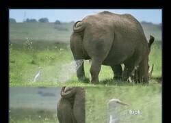 Enlace a Mal sitio para ponerse...