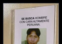 Enlace a Buscando rostros peruanos