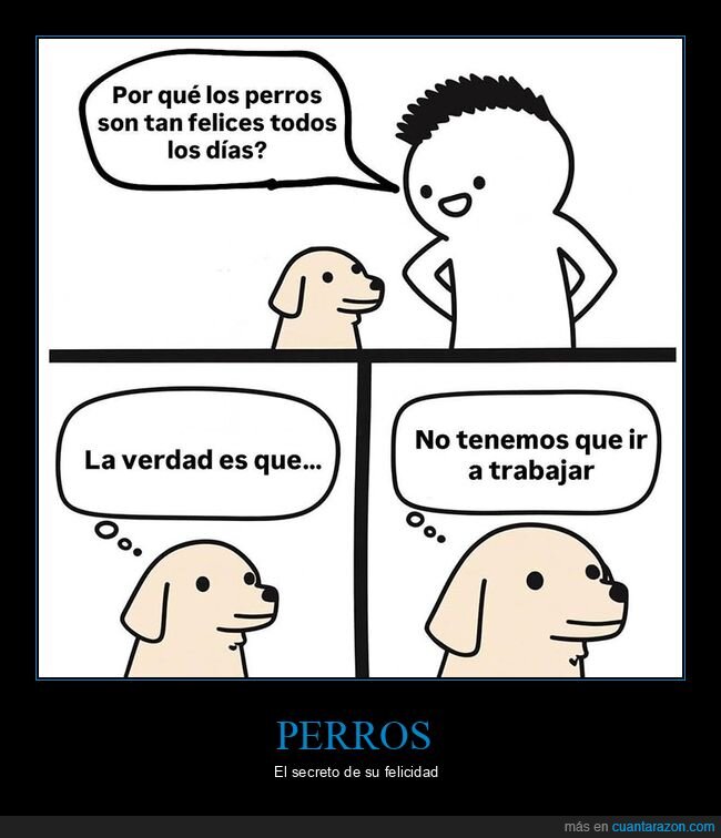 felices,perros,trabajar