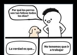 Enlace a Felicidad canina