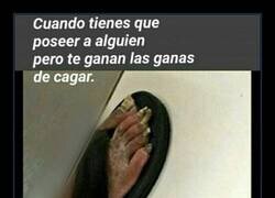 Enlace a Comentario inesperado