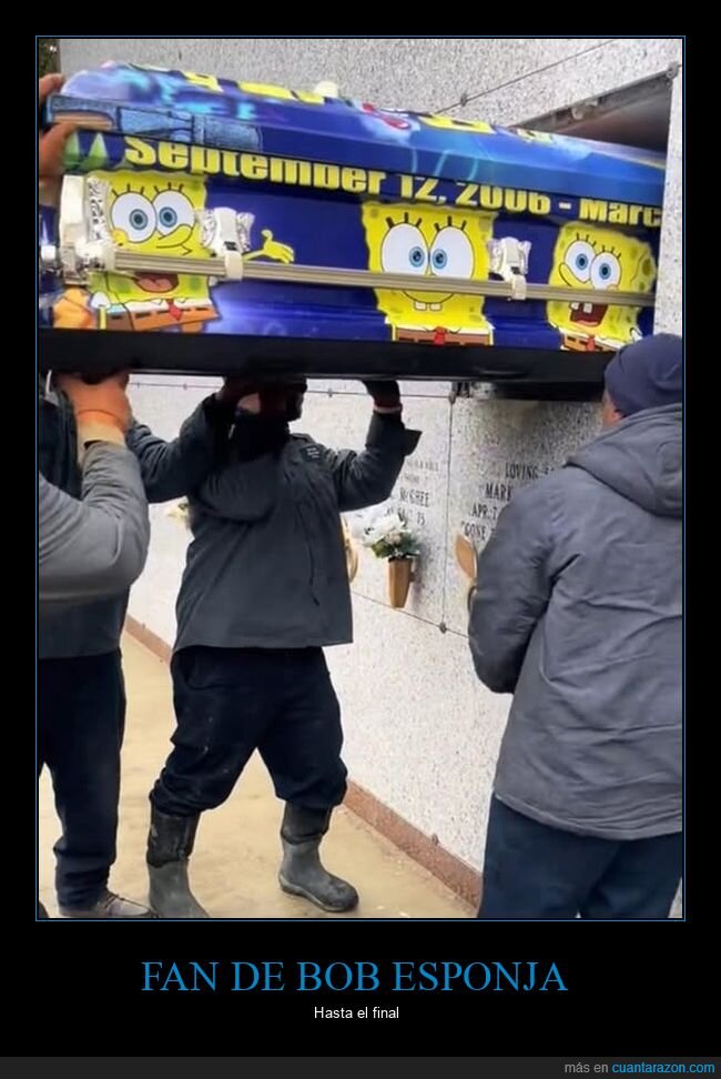 ataúd,bob esponja,entierro,wtf