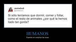 Enlace a ¿Por qué?