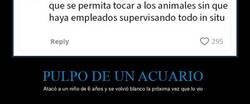 Enlace a Este pulpo de un acuario atacó a un niño de 6 años y se volvió blanco la próxima vez que lo vio