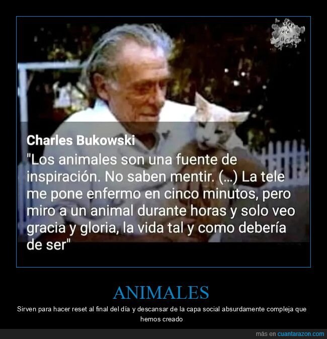 charles bukowski,animales