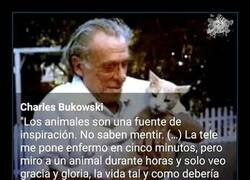 Enlace a La inspiración de Bukowski