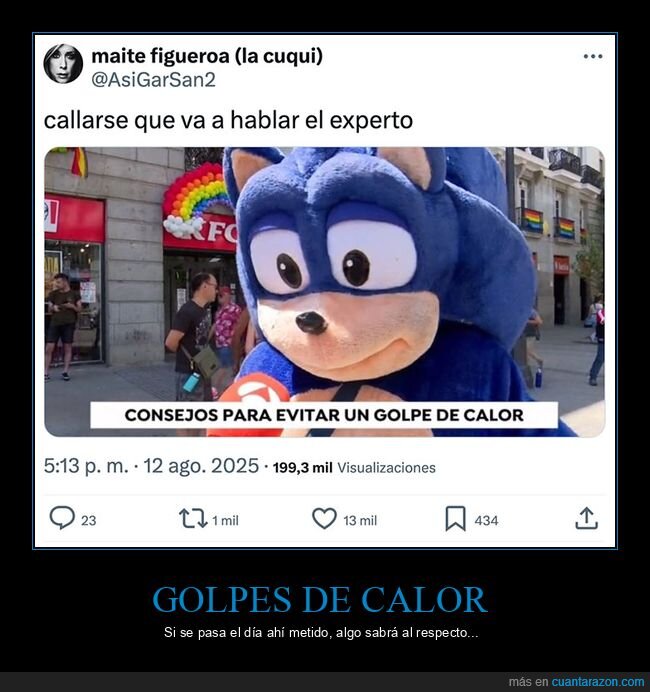 calor,disfraz,sonic