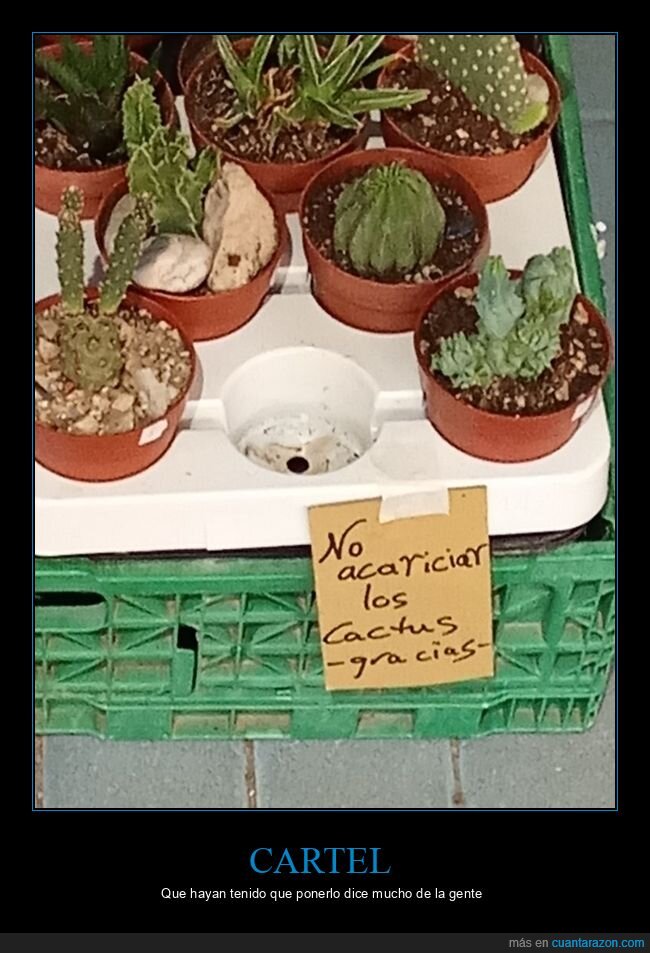 acariciar,cactus,carteles