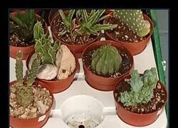 Enlace a Es por vuestro bien...