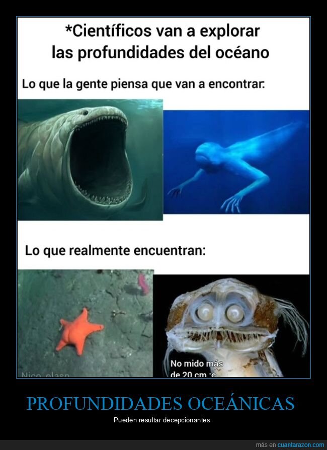 expectativas,océano,profundidades,realidad