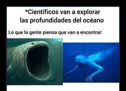 Enlace a Decepción oceánica