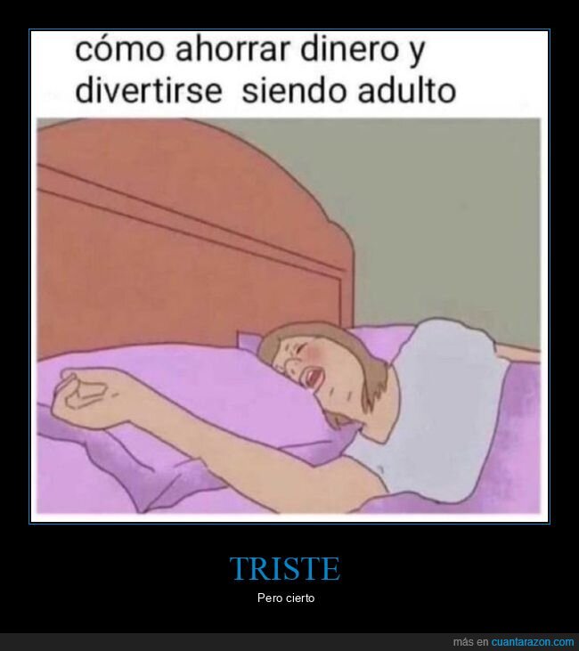 ahorrar,divertirse,adulto,dormir