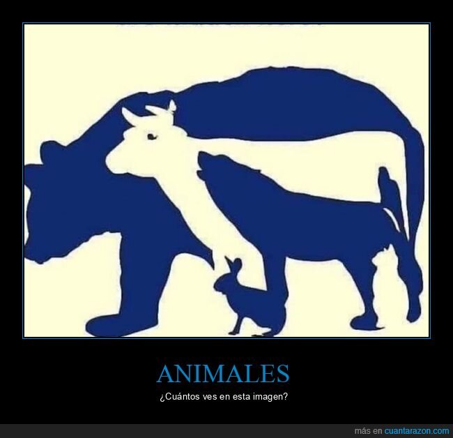animales,ilusión óptica