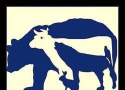 Enlace a Hay más de lo que en un principio parece...