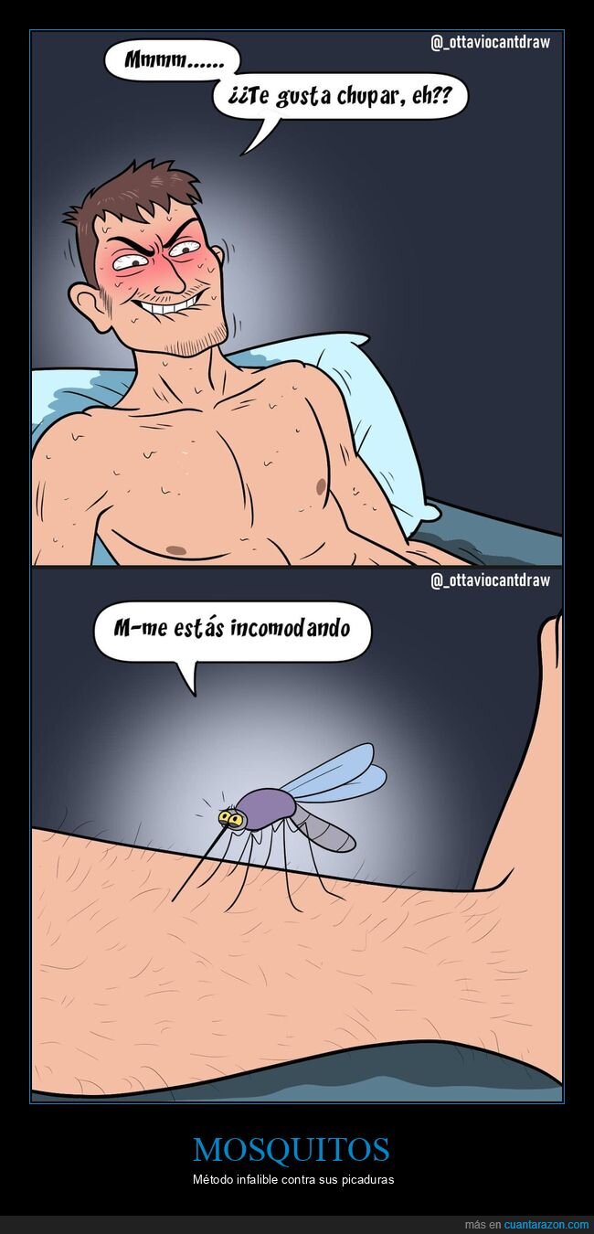 mosquito,incomodar