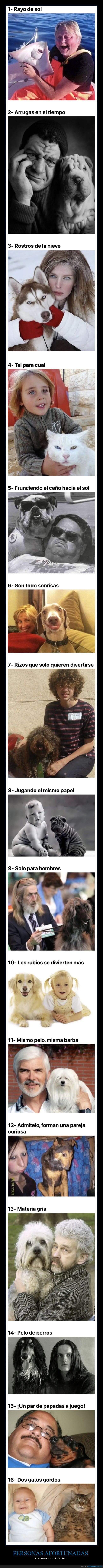 animales,parecidos