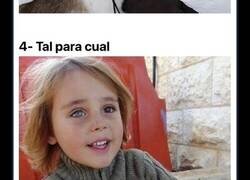 Enlace a Imágenes de personas que dieron con su doble animal