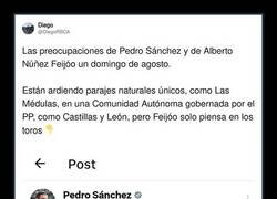 Enlace a Preocupaciones políticas