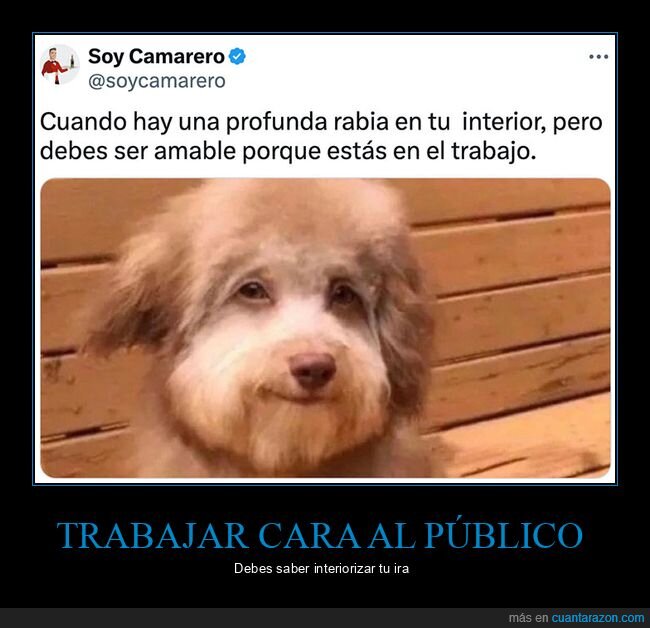 amable,perros,rabia,trabajo