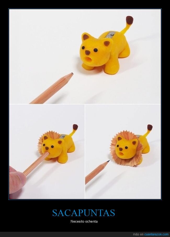 sacapuntas,león