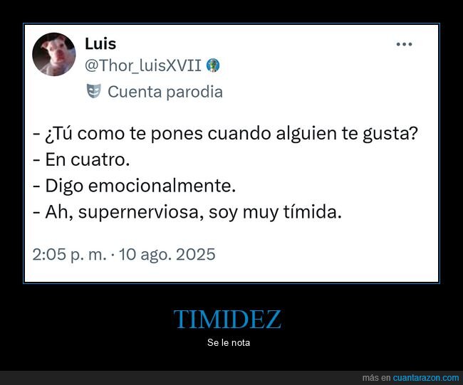 ponerse,gustar,tímida