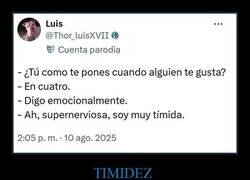 Enlace a Preguntando a la tímida