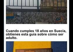 Enlace a Detalles ingeniosos que han sido introducidos en la vida cotidiana de diversos países del mundo