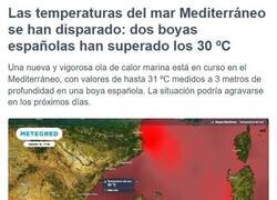 Enlace a Sopa mediterránea