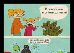 Enlace a Bonitos si no los miras de cerca...