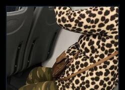 Enlace a Outfit contradictorio