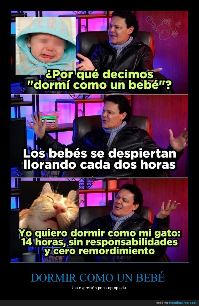 dormir,bebé,gato