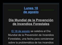 Enlace a Hoy es el día mundial de la prevención de incendios forestales