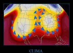 Enlace a Formas caprichosas