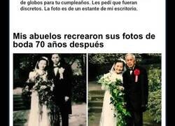 Enlace a Publicaciones reconfortantes para distraerte de los horrores actuales del mundo