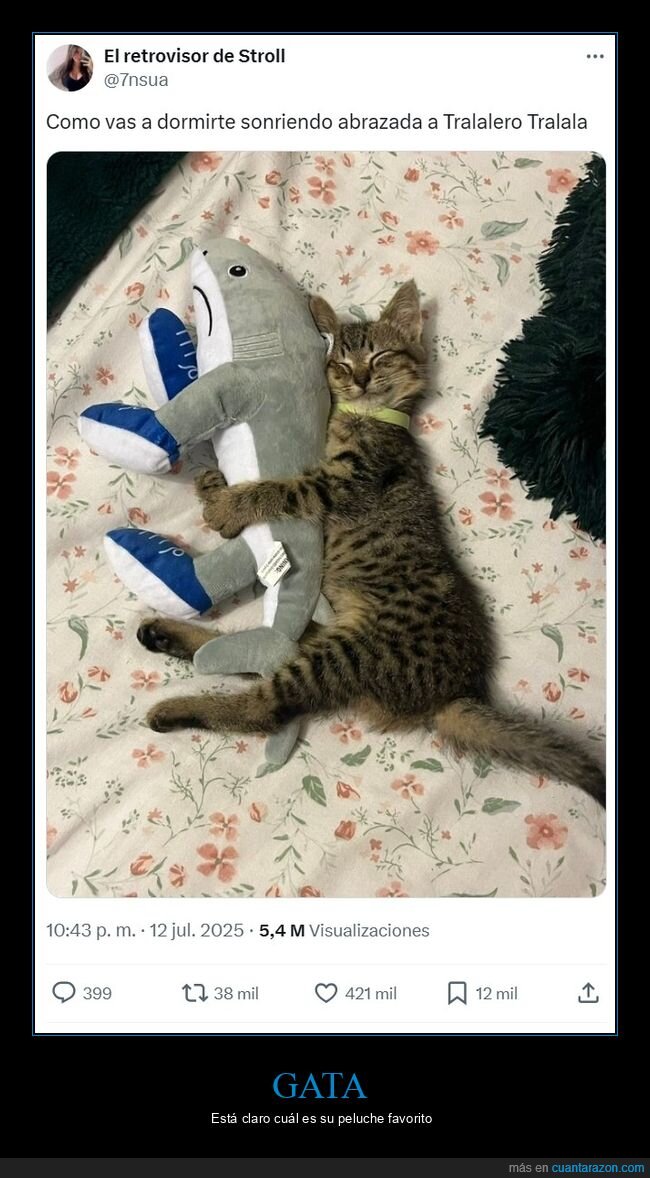 gato,durmiendo,tralalero tralala