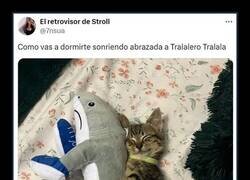 Enlace a Felicidad felina