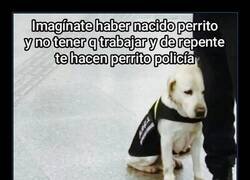 Enlace a Qué faena...