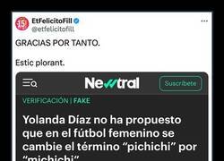 Enlace a Desmentido necesario