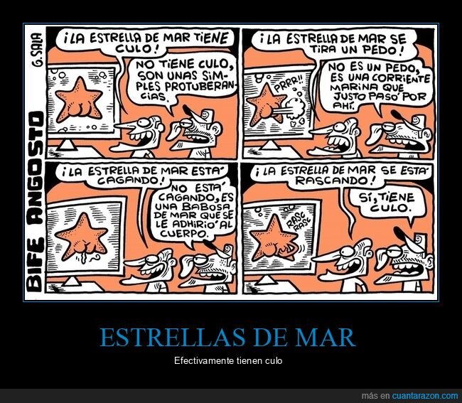 absurder,estrellas de mar
