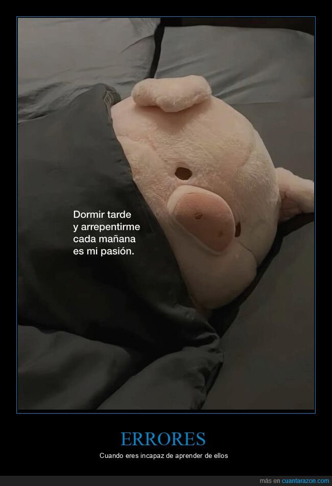 arrepentirse,dormir,mañanas,tarde