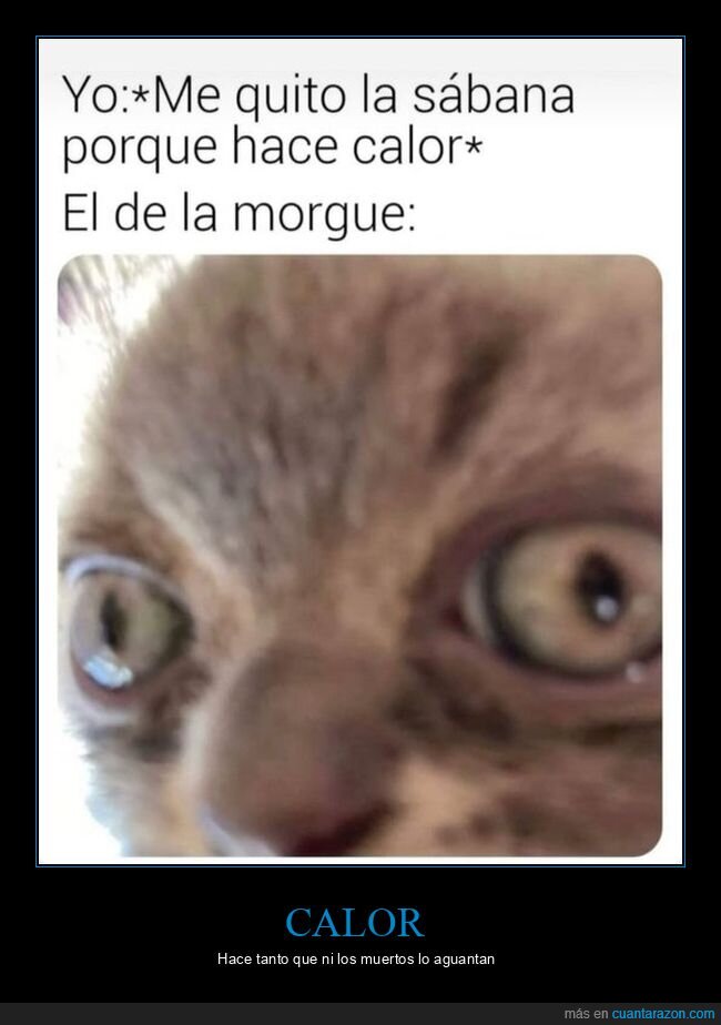 sábana,calor,morgue