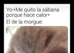 Enlace a Calor insoportable