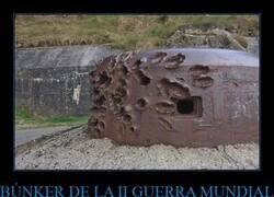 Enlace a Un búnker resistente