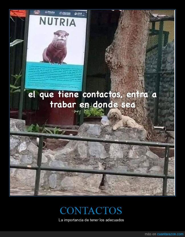 contactos,nutria,perros,zoo