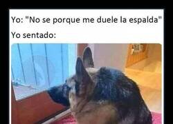 Enlace a ¿Por qué será?