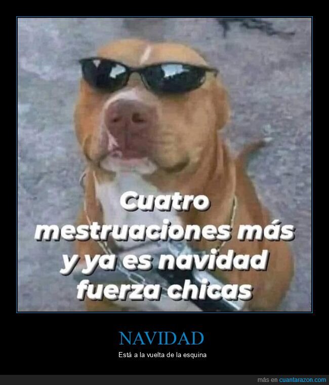 menstruaciones,navidad