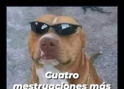 Enlace a Ya está casi ahí