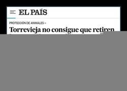 Enlace a Invasión de gallinas en Torrevieja